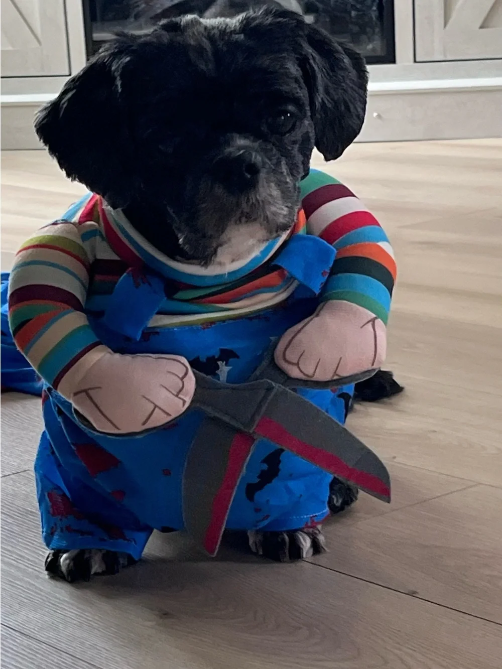 Pet Costume for Dogs - Colorful Striped Outfit (Blue, Multicolor) pre owned
